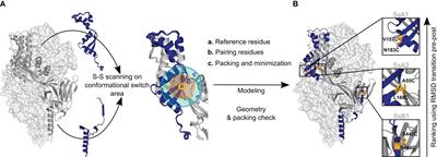 Systematic computer-aided disulfide design as a general strategy to stabilize prefusion class I fusion proteins